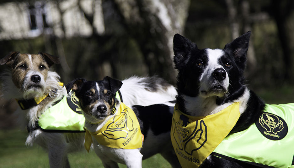 Newbury - All About Dogs Shows