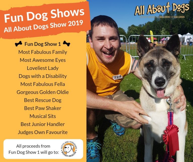 Notts & Yorkshire Boxer Rescue return with Fun Dog Show 1 All About