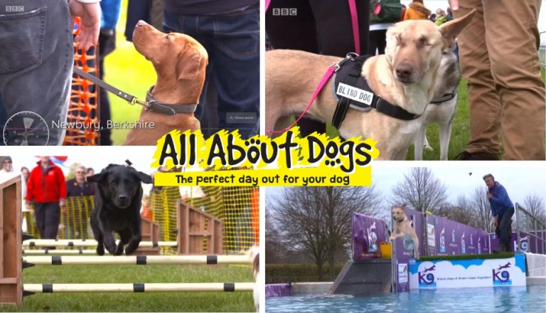 All About Dogs Show Newbury Features On BBC S The One Show All About   The One Show AAD 768x440 