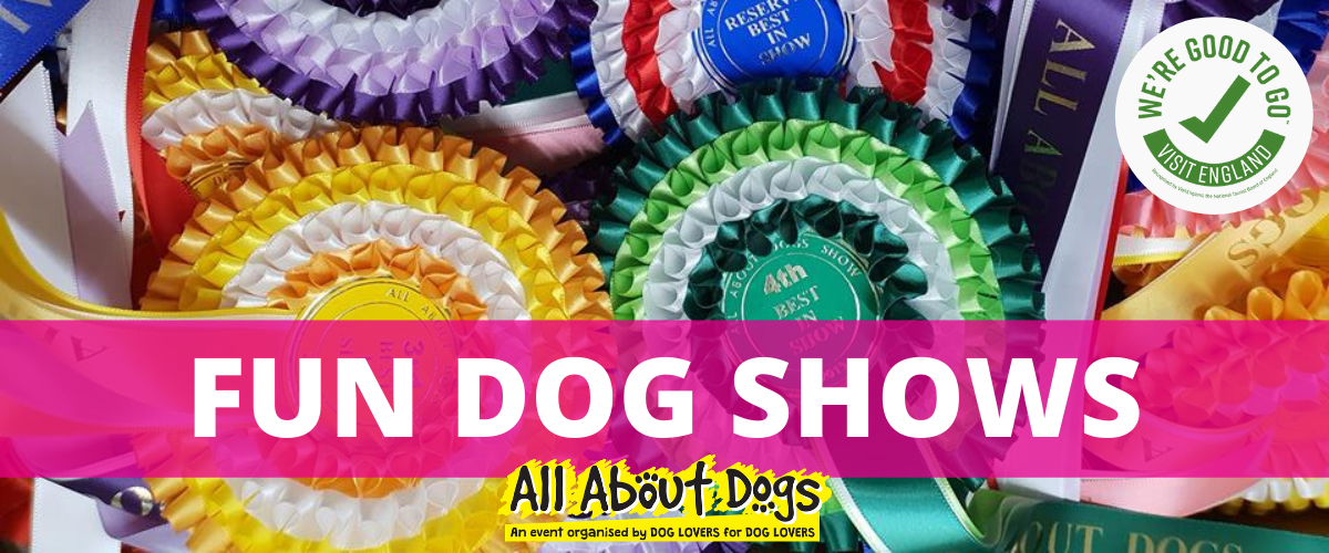 Fun Dog shows All About Dogs Shows