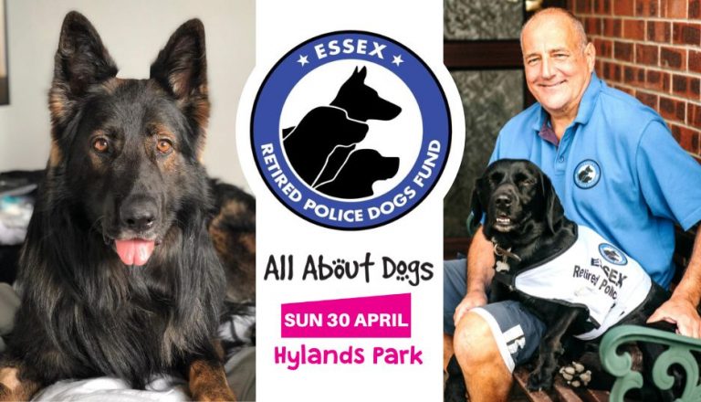 Meet Retired Essex Police Dogs at All About Dogs Show Hylands 2023 ...