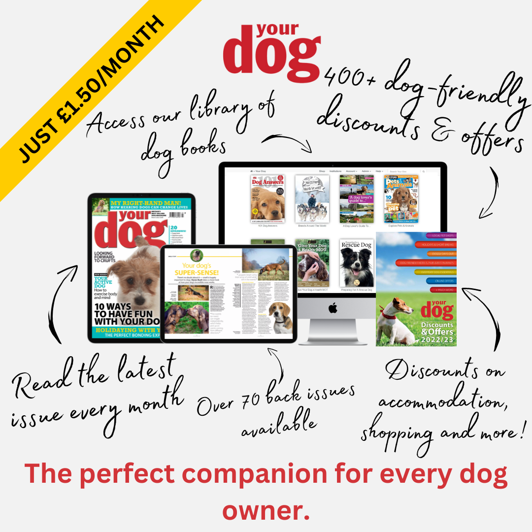 YOUR DOG MAGAZINE CONFIRMED AS MEDIA PARTNER OF ALL ABOUT DOGS 2023