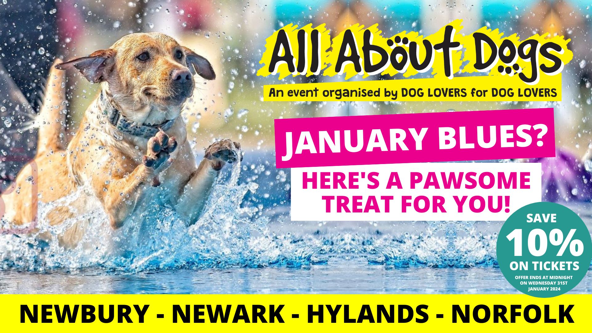 Beat the January Blues with our special ticket offer All About Dogs Shows